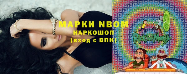 PSILOCYBIN Сосновый Бор