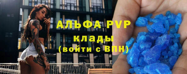 PSILOCYBIN Сосновый Бор