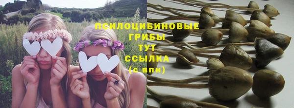 шишки Сосновоборск